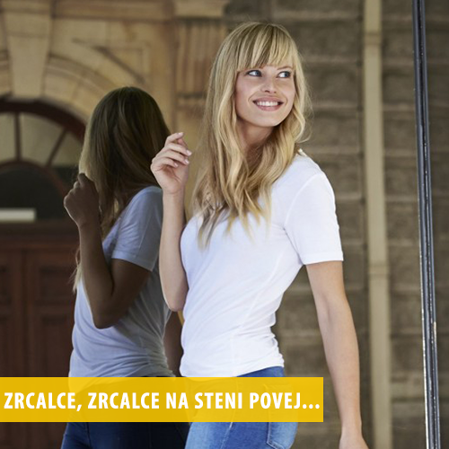 folije za zaščito zasebnosti